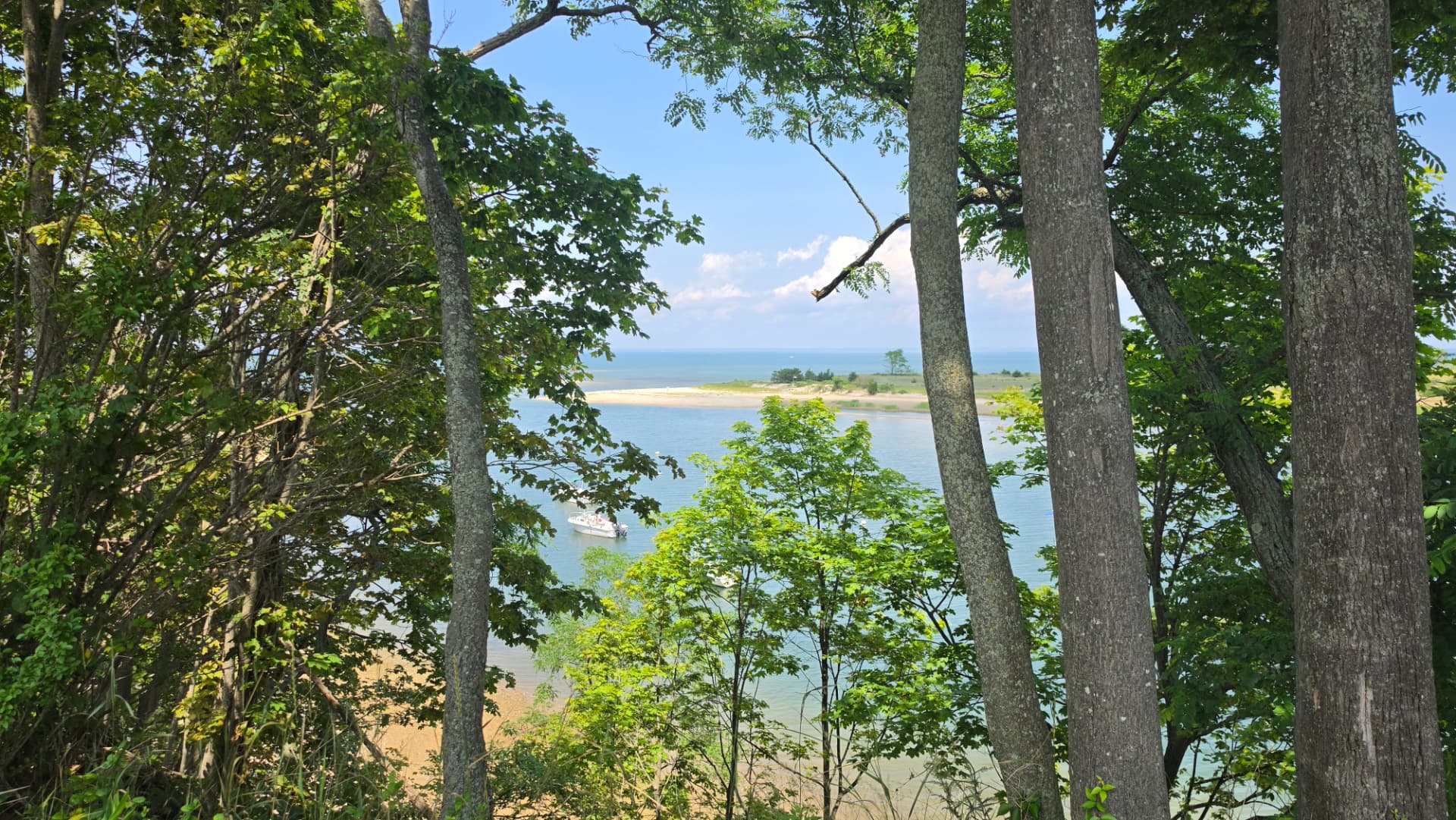 Tree-Framed Overlook at Nissequogue State Park Tree-framed overlook from the bluff at Nissequogue State Park with views toward Long Island Sound
