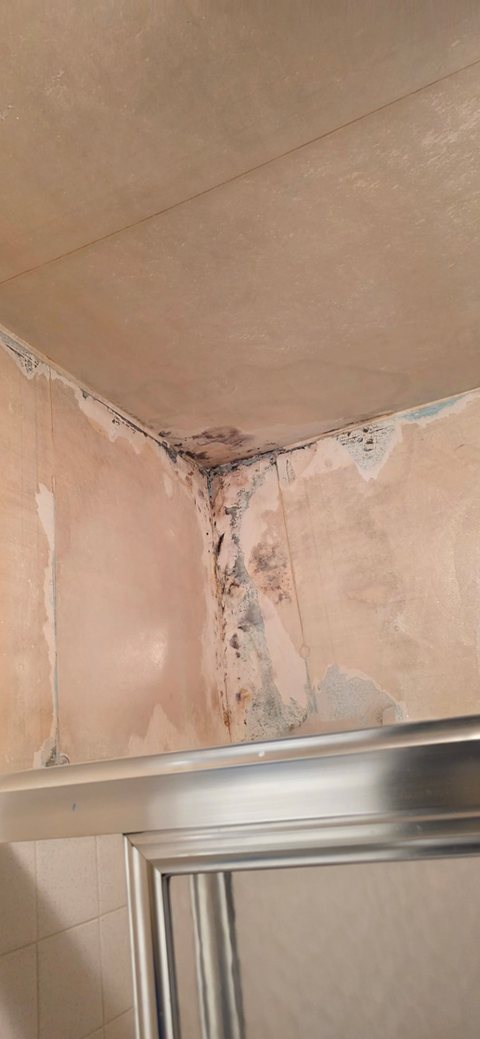 Mold and staining in the corner of a tiled bathroom wall and ceiling