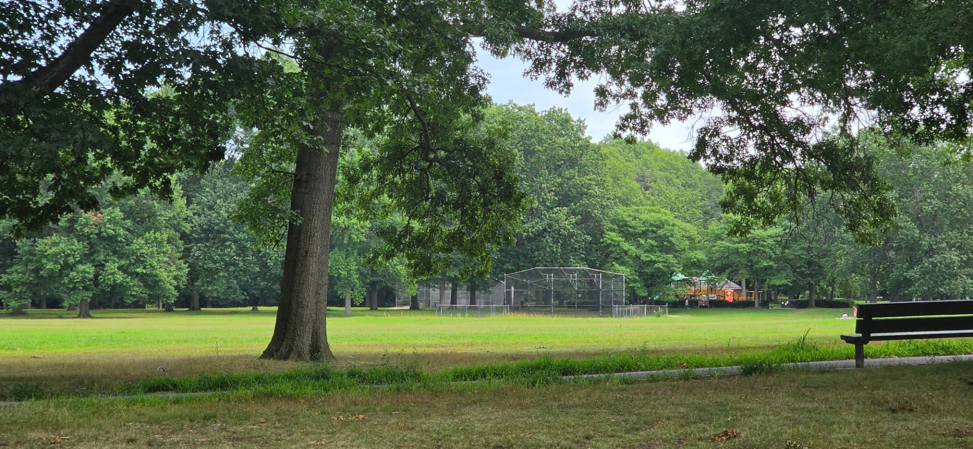 Trees, lawn and recreational space at Alley Pond Park in Queens